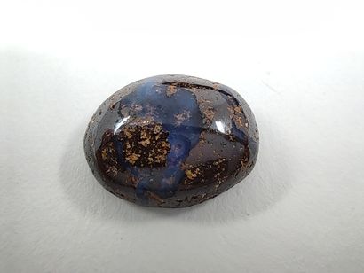 OPALE wood boulder du Queensland Australie...