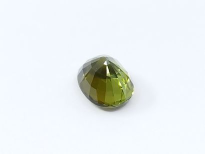 TOURMALINE green VS , oval , Mozambique ,...