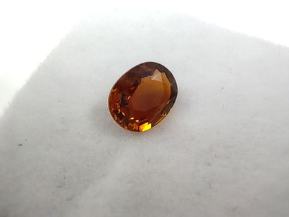 TOURMALINE orange VS Nigeria oval
Dim: 6.8...