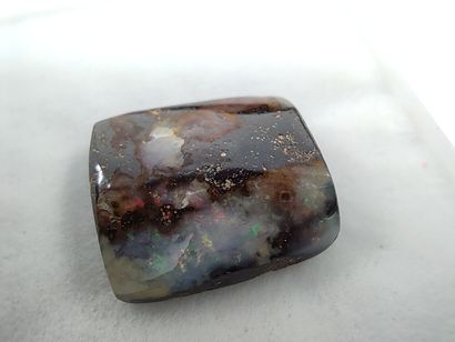 OPAL koriot nut boulder Queensland Australia...