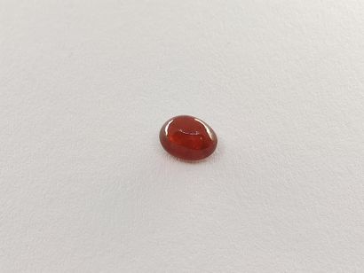 GRENAT orange spessartite Namibie cabochon
Dim...