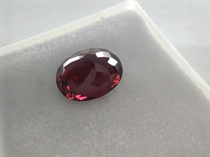 GRENAT purplish red rhodolite VS Madagascar...