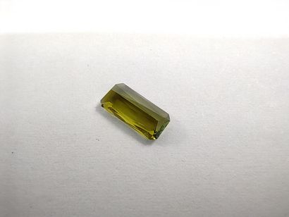 TOURMALINE verte taille émeraude, 	Mozambique	,...