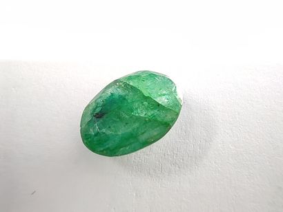 EMERAUDE	 ovale, Zambie	, 7.00 carats
Dim...