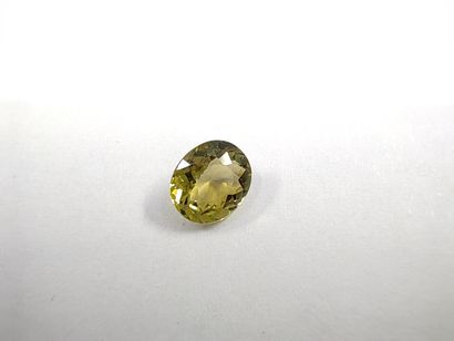 TOURMALINE verte VVS	 ovale, Mozambique,...