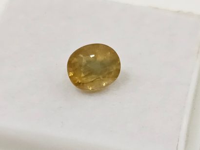 SAPHIR greenish yellow , ovale , Madagascar...