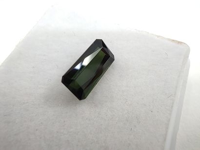 TOURMALINE deep green VVS Mozambique emerald
Size:...