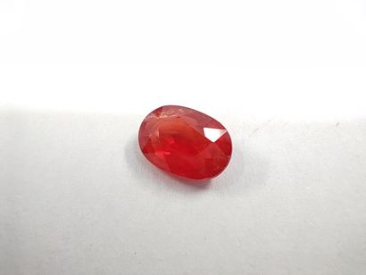 SAPHIR reddish orange ovale, 	Mozambique	,...