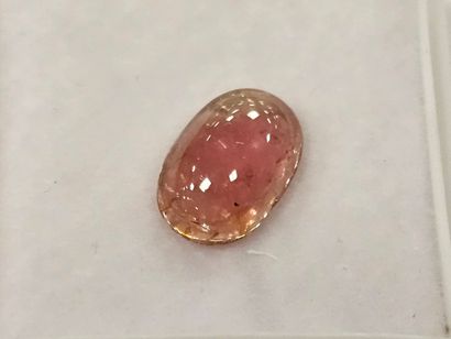 TOURMALINE pink , cabochon , Mozambique ,...