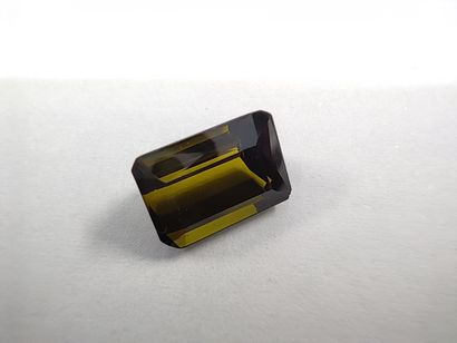 TOURMALINE verte taille émeraude, 	Mozambique	,...
