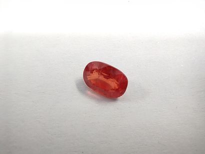SAPHIR orange Tangaovale,	Tanzanie,1.24 carat
Dim...