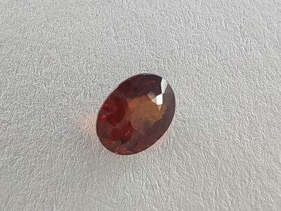GRENAT reddish orange spessartite Namibie...