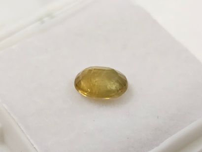 SAPHIR greenish yellow , ovale , Madagascar...
