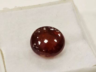 GRENAT orange spessartite , cabochon , Namibie...