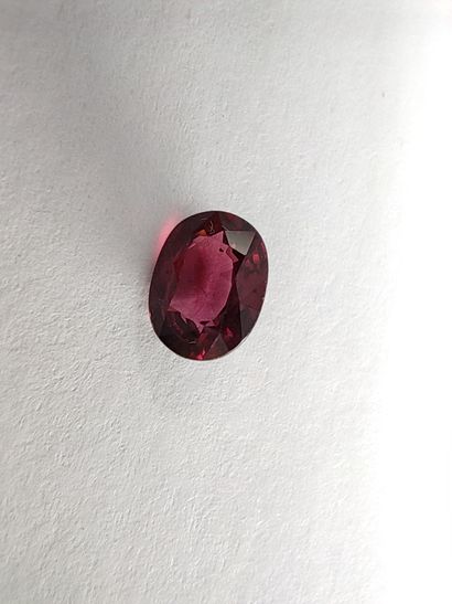 GRENAT purplish pink rhodolite ovale, Madagascar,...