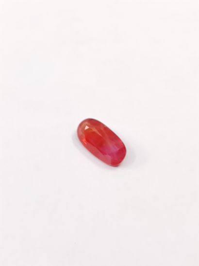 SAPHIR reddish orange 	ovale, Mozambique	,...