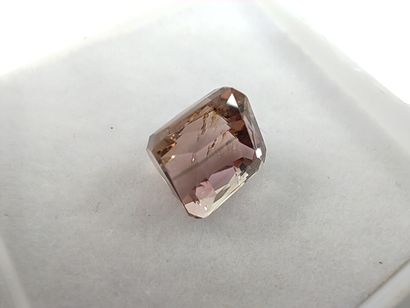 TOURMALINE greenish purple Mozambique émeraude
Dim...