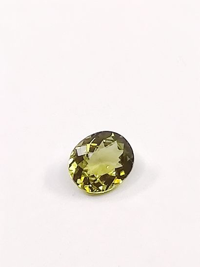 TOURMALINE verte VVS	 ovale, Mozambique,...