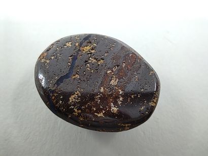 OPALE wood boulder du Queensland Australie...