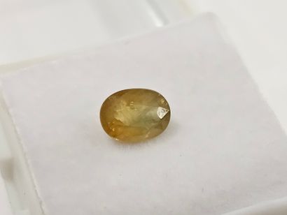 SAPHIR greenish yellow , ovale , Madagascar...