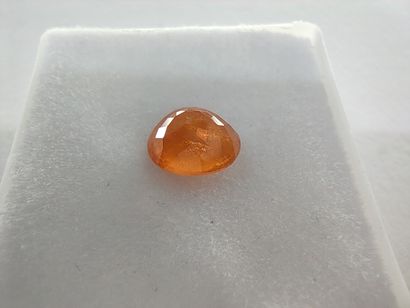 GRENAT orange spessartite Namibie ovale
Dim...