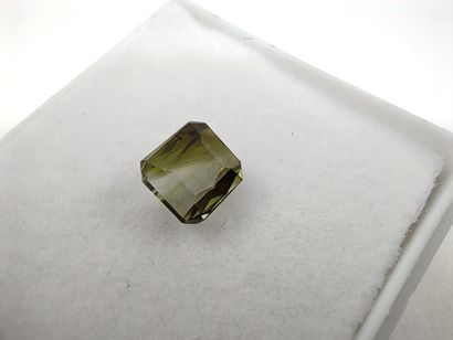TOURMALINE yellowish green Mozambique emerald
Dim:...