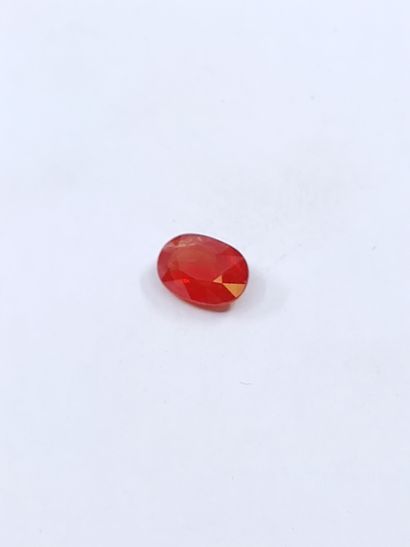 SAPHIR reddish orange ovale, 	Mozambique	,...