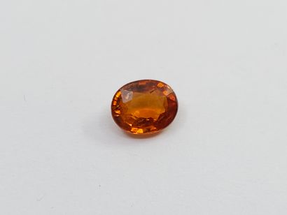 GRENAT orange spessartite , ovale , Namibie...