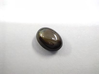 SAPHIR vert profond et noir étoilé cabochon,...