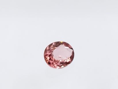 TOURMALINE pink , ovale , Mozambique , 0,92...