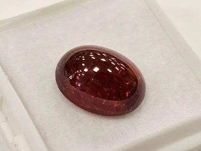 GRENAT orange spessartite , cabochon , Namibia...