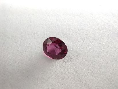 GRENAT purplish pink rhodolite ovale, 	Madagascar	,...