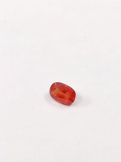 SAPHIR orange Tangaovale,	Tanzanie,1.24 carat
Dim...