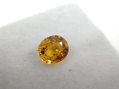 SAPHIR yellow VS Thailand ovale
Dim : 6mm...