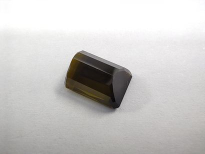 TOURMALINE verte taille émeraude, 	Mozambique	,...