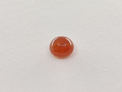 GRENAT orange spessartite Namibie cabochon
Dim...