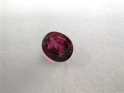 GRENAT purplish pink rhodolite VS	 ovale,...