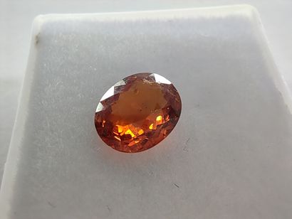 GRENAT orange spessartite Namibie ovale
Dim...