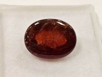 GRENAT orange spessartite , cabochon , Namibia...