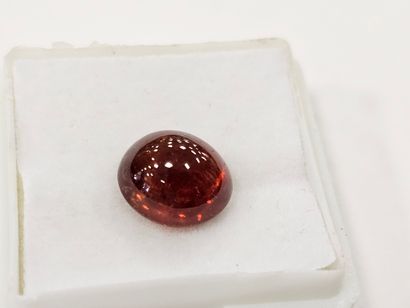 GRENAT orange spessartite , cabochon , Namibie...