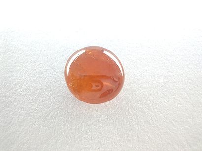 GRENAT orange spessartite Namibie cabochon
Dim...
