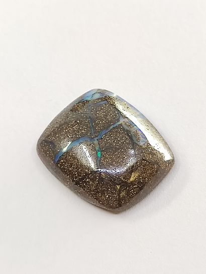 OPALE medium winton area boulder du Queensland	...