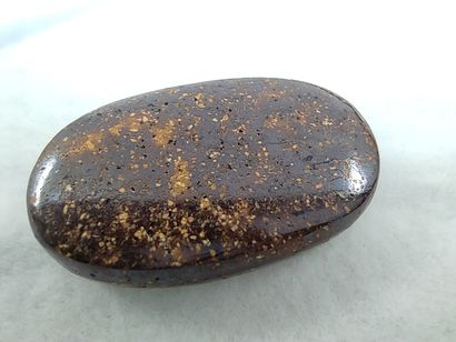 OPAL koriot nut boulder Queensland Australia...