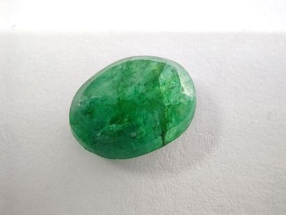 EMERAUDE	 ovale, Zambie	, 7.00 carats
Dim...