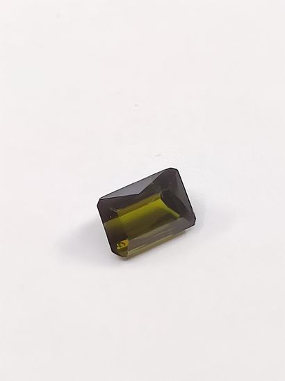 TOURMALINE verte taille émeraude, 	Mozambique	,...