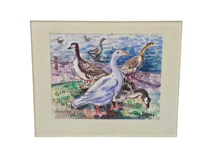FAGARD
Canards au bord de l'eau
Aquarelle...
