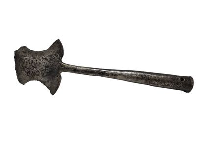 Part of a wrought-iron halberd or lance
Damage...