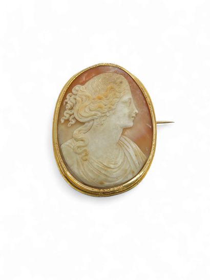 TRAVAIL Français
BROCHE en or jaune 750°...