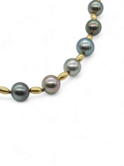 NECKLACE in 750° yellow gold and 19 Tahitian...
