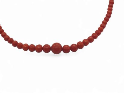 FALLING RED CORAL NECKLACE, 585° yellow gold...